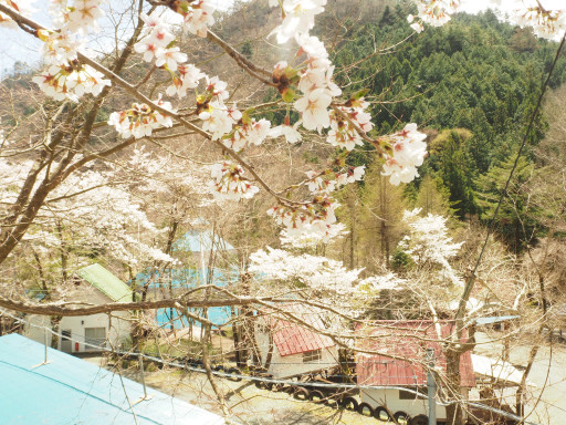 平山キャンプ場