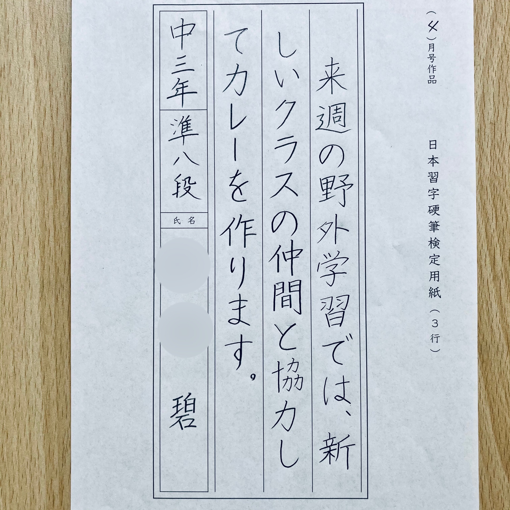 日本習字お手本2023年4月〜2024年３月 - その他