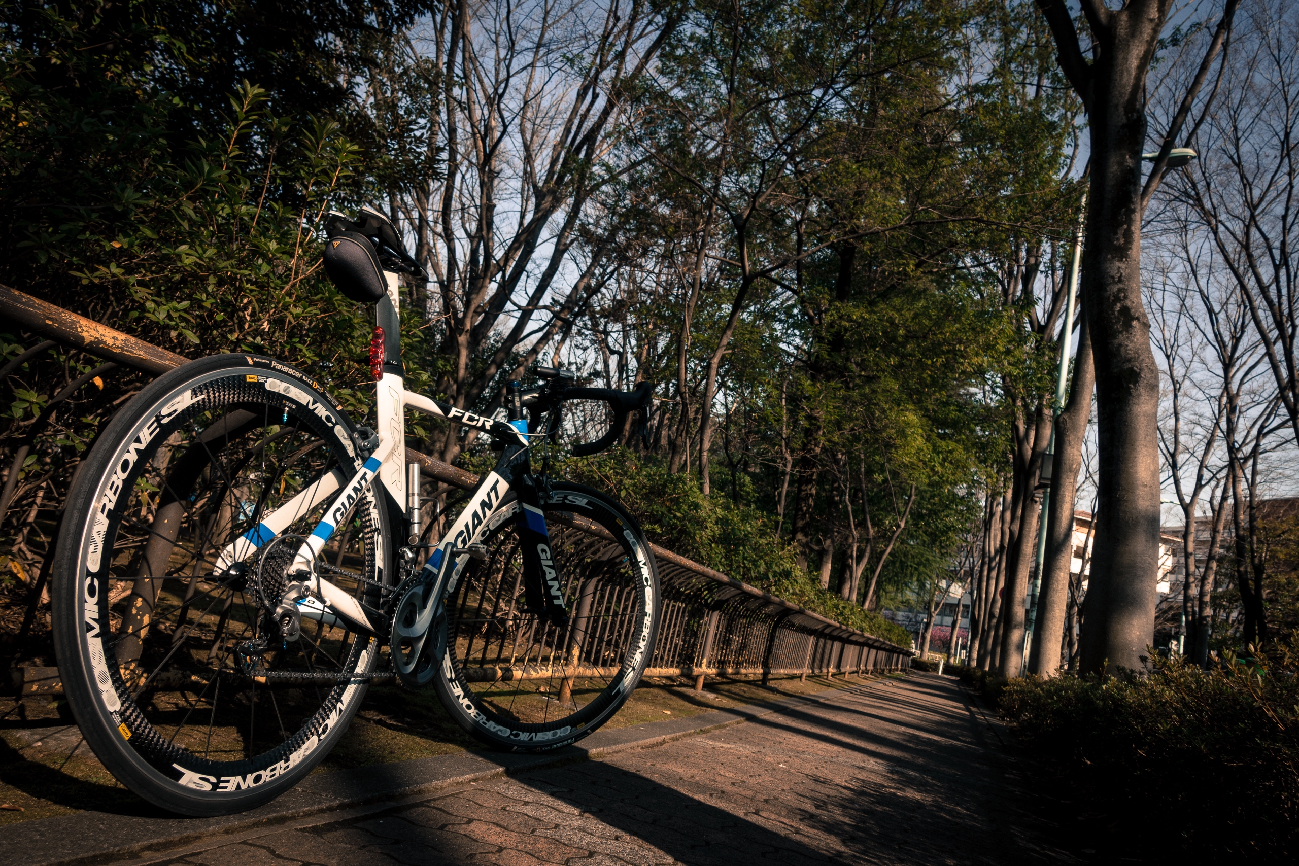 自転車 に 乗っ て どこまでも