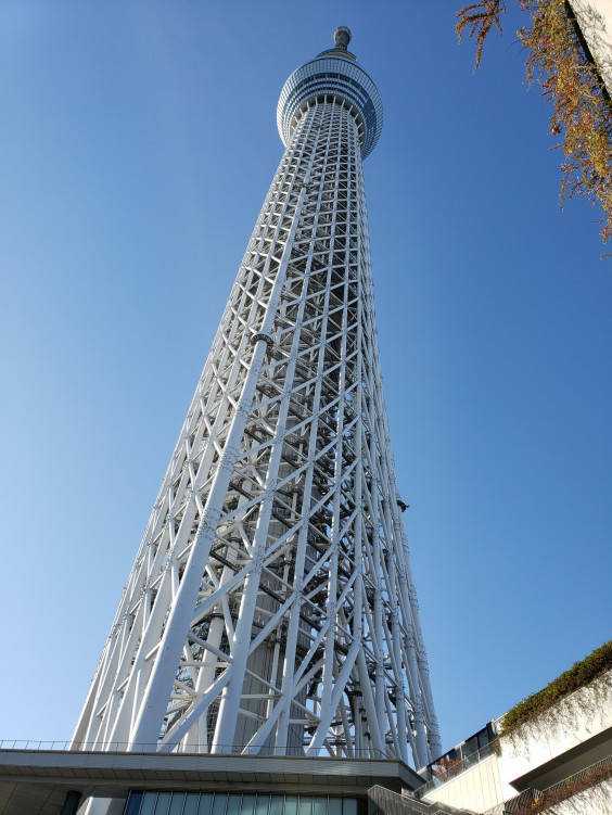 年末年始は 楽さん釣り日記