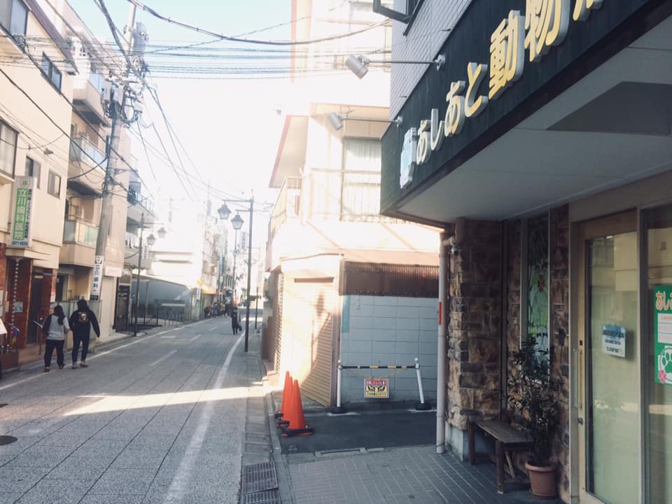【北豊島】高田若葉町 江戸町巡り