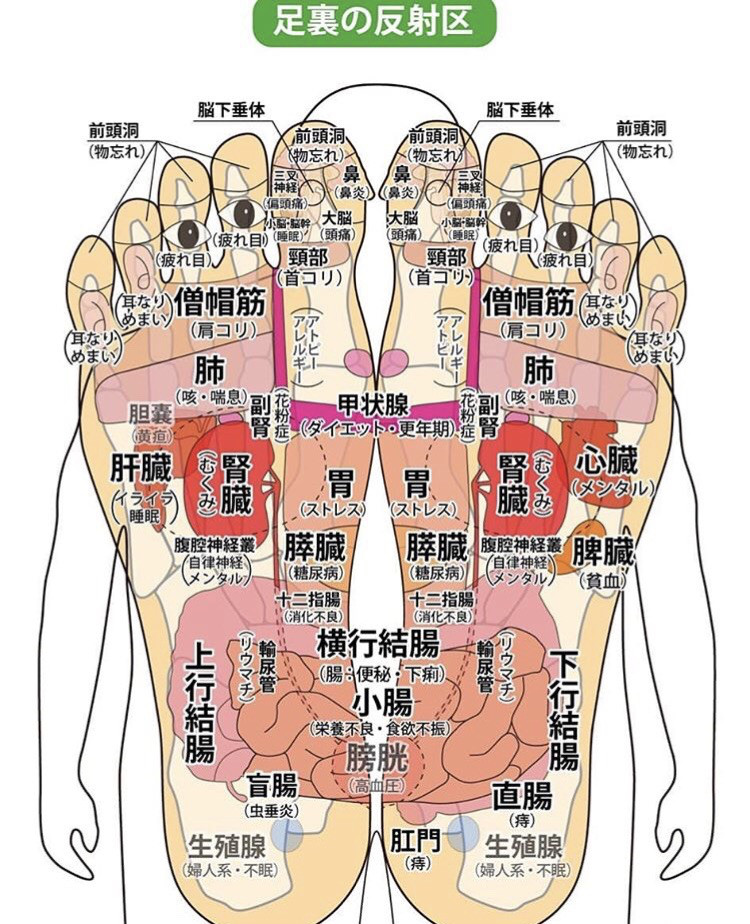 足つぼ 神河町のお家サロン ここのて