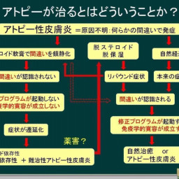 ハーブティー 神河町のお家サロン ここのて