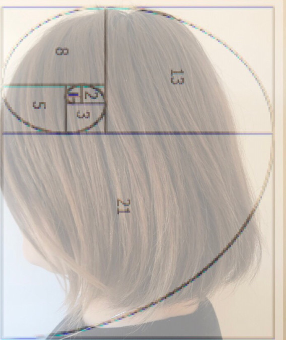 黄金比 とは 似合わせカット 美容