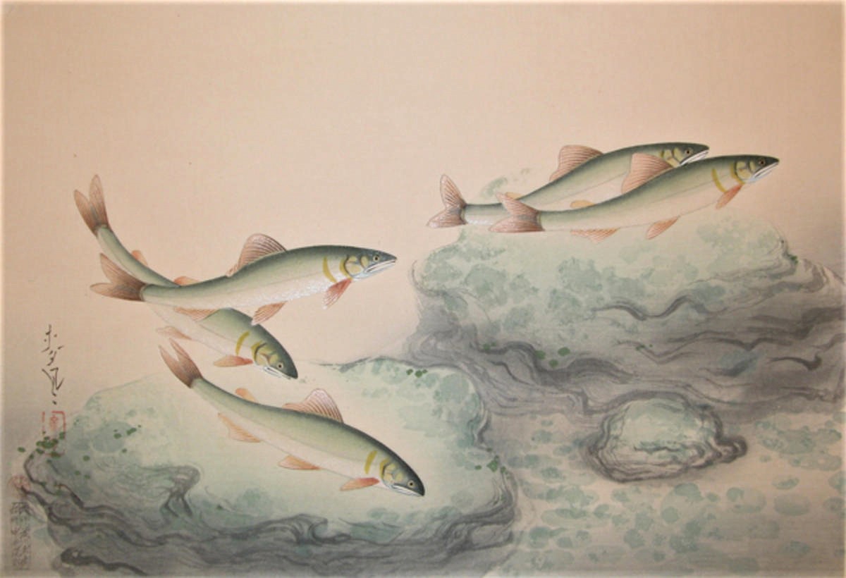 34db56ffa0b8ffc7db5aef447089df