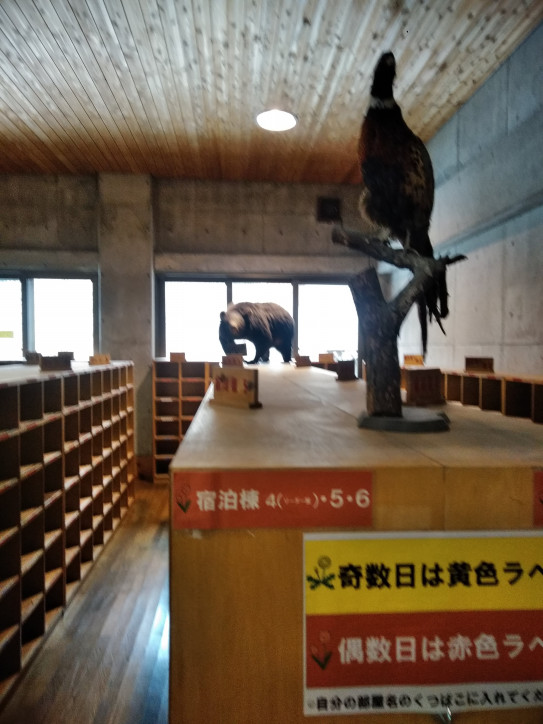 花背への旅 花背山の家 左京親と子の劇場 人形劇サークルアイアイ