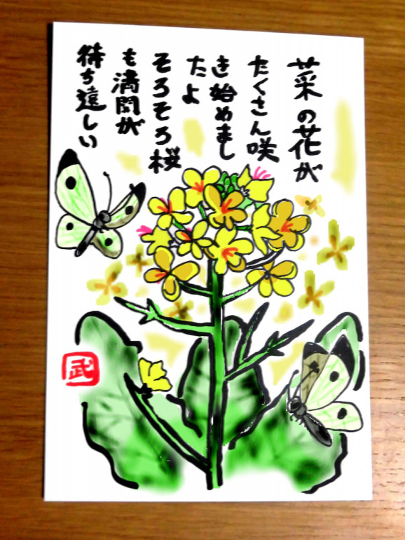 絵手紙 菜の花 福猫datrumaの工房