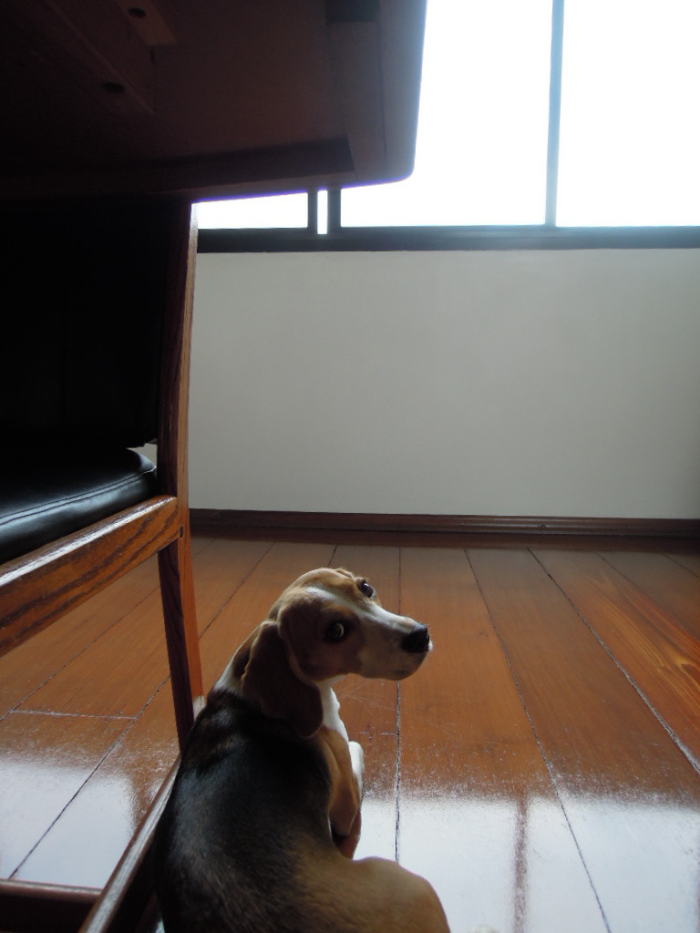 ポルトガル語のことわざで呟いてみる Boa Tarde From Sao Paulo ポルトガル語のことわざで呟いてみる Boa Tarde From Sao Paulo