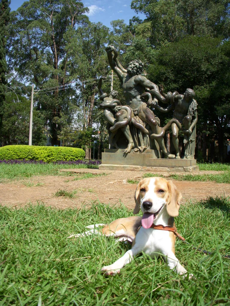 誕生日の歌をポルトガル語バージョンで Boa Tarde From Sao Paulo