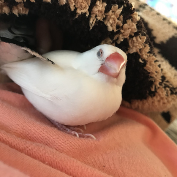 寝顔 ブサイクなのよ 笑 70birdie 寝顔 ブサイクなのよ 笑 70birdie