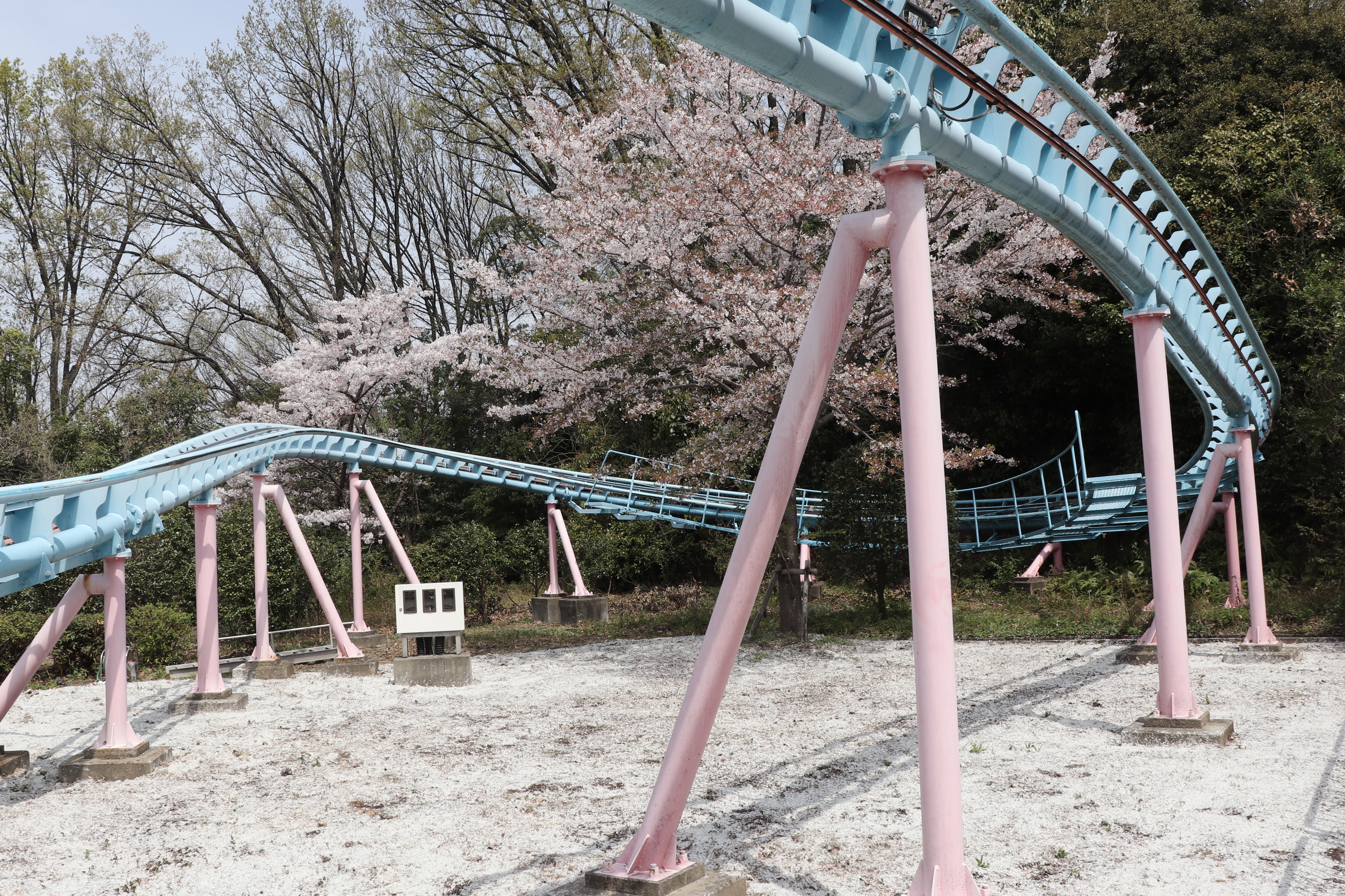 くまさんコースター（東山動植物園） | 絶叫番長