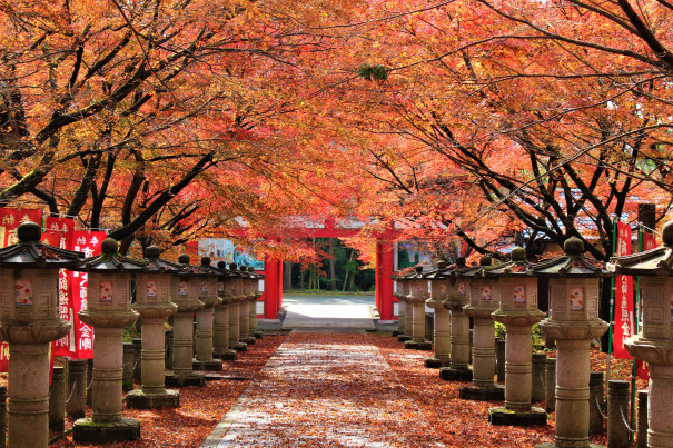 兵庫の穴場紅葉スポット 高山寺に行ってみた 旅の記録 日本の魅力を伝えたい