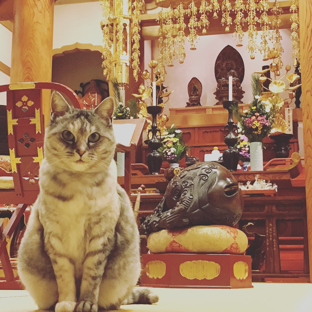 ホームページを作り直しました。 喜雲寺 KIUNJI