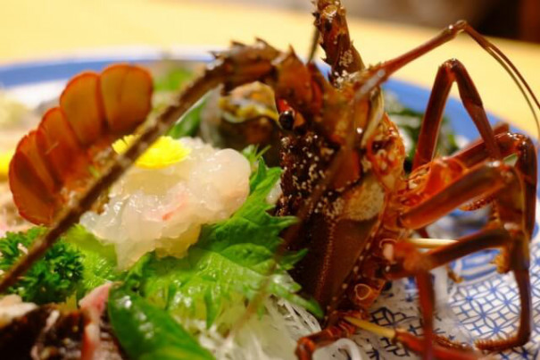 関東のうまい魚 千葉 神奈川編 Yokachan33 S Ownd