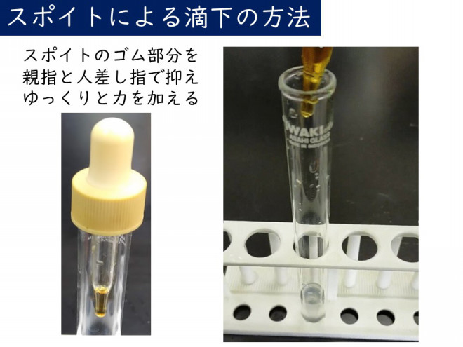 6年 唾液のはたらき 実験 Kashipro カシプロ 小学校の理科とプログラミング 6年 唾液のはたらき 実験 Kashipro カシプロ 小学校の理科とプログラミング