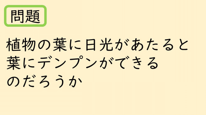 6年植物の成長と日光の関わり Kashipro カシプロ 小学校の理科とプログラミング