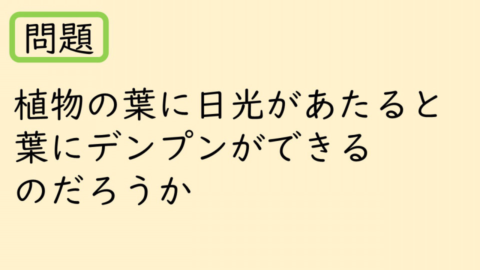 6年植物の成長と日光の関わり 小学校の理科とプログラミング