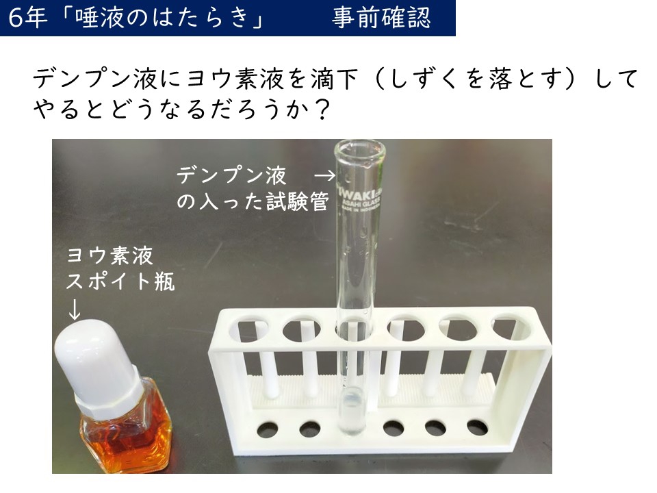 ６年 唾液のはたらき 実験 理科の実験とプログラミング