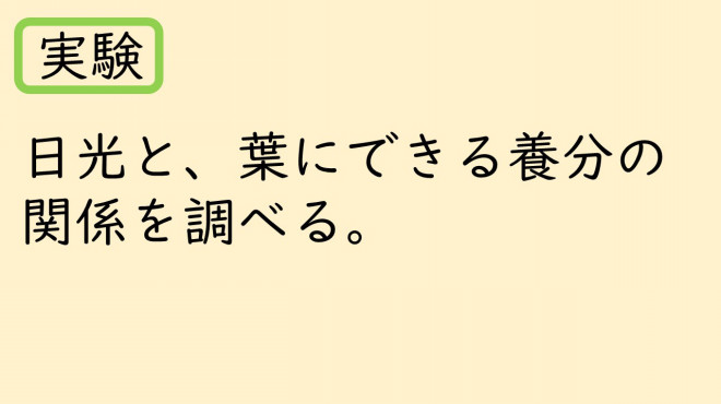 6年植物の成長と日光の関わり 小学校の理科とプログラミング