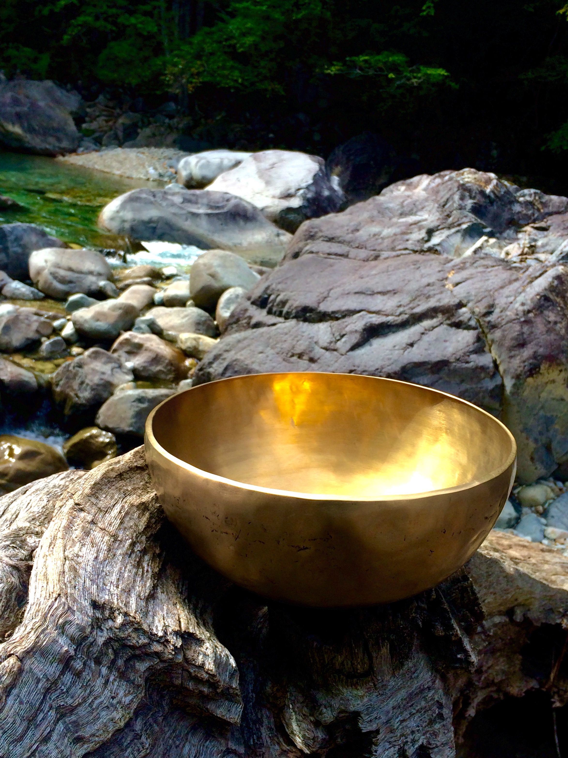 Rlung SINGINGBOWL | rLung.earth🌍