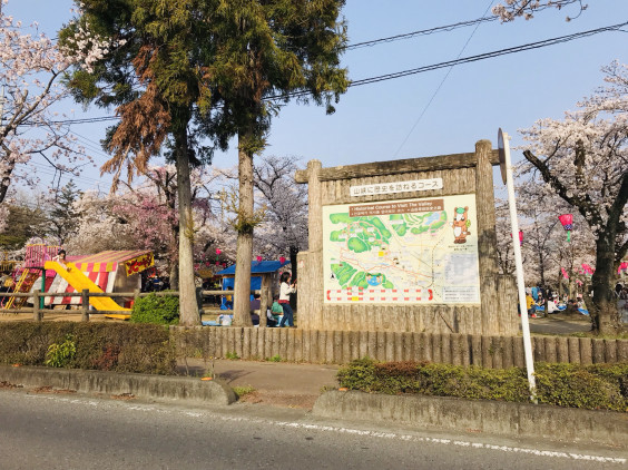 飯能市桜祭り 谷広告デザイン Tani Pablicity Design Office 飯能市桜祭り 谷広告デザイン Tani Pablicity Design Office