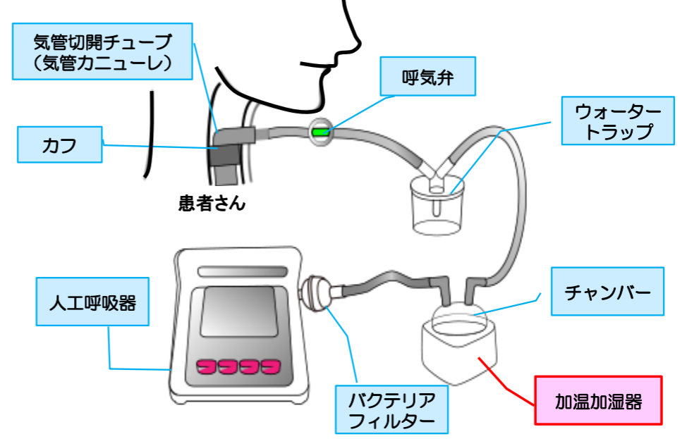 人工 呼吸 器 仕組み