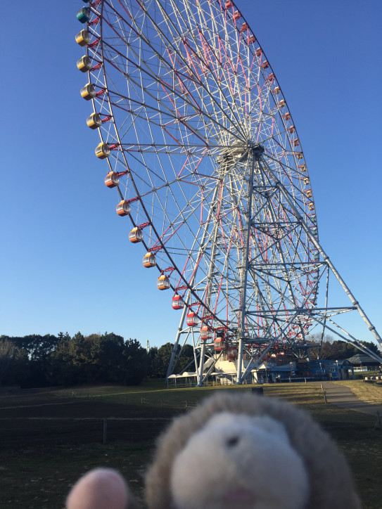 ポケモンgoで散歩してみる ごんちゃんねる ポケモンgoで散歩してみる ごんちゃんねる
