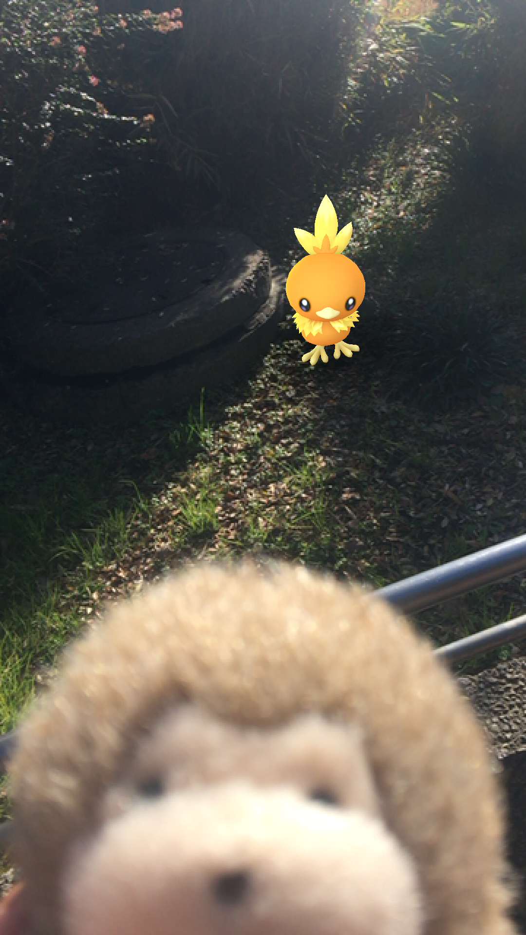 ポケモンgoで散歩してみる ごんちゃんねる