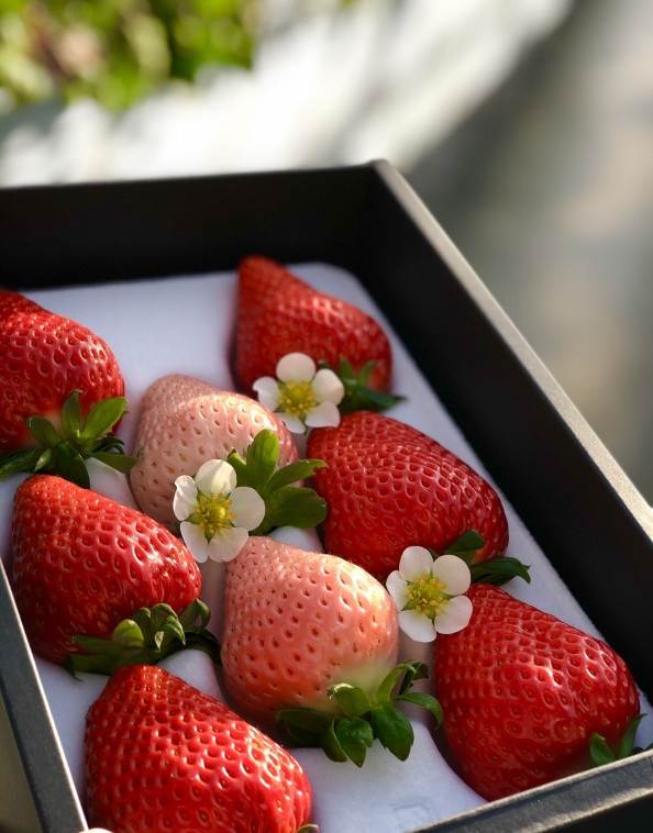 商品 Strawberry Farm Bunkaen