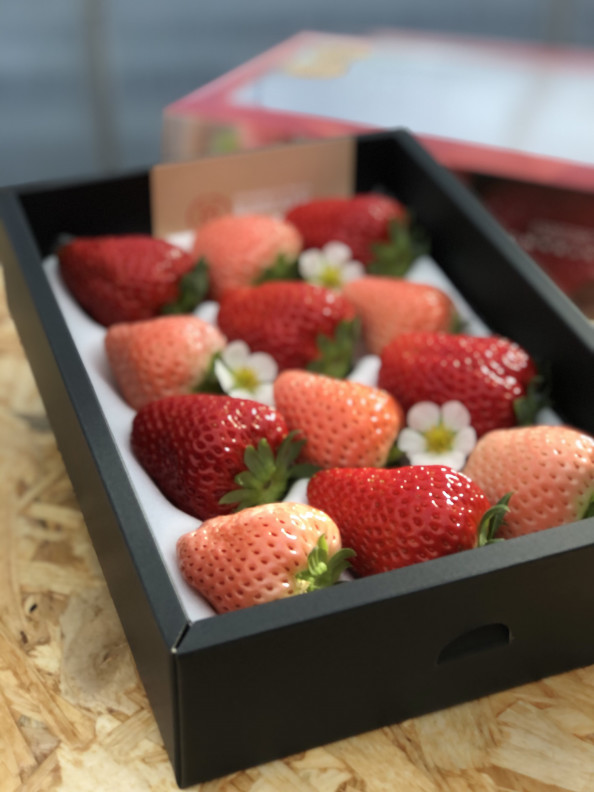 商品 Strawberry Farm Bunkaen