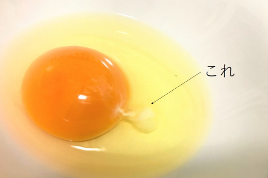 6月9日は たまごの日 株式会社 いなかの野菜屋