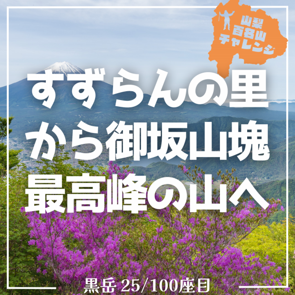 2774f4b695df360dbcfa7f5b9f8b6e