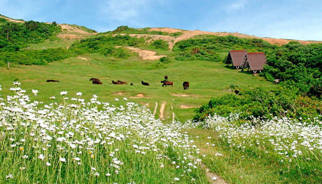 ツアー紹介 佐渡 ドンデン山 心地よい高原は花の宝庫 Outing Products Elk