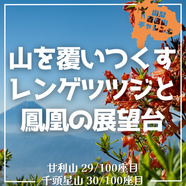 山百チャレンジ29,30座目 甘利山 千頭星山】山を覆いつくす赤い