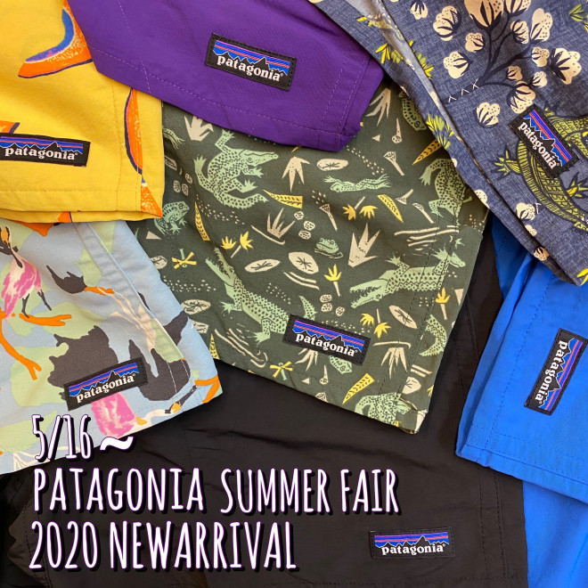 Patagonia 夏のパタゴニアフェア開催 バギーズショーツ Outing Products Elk