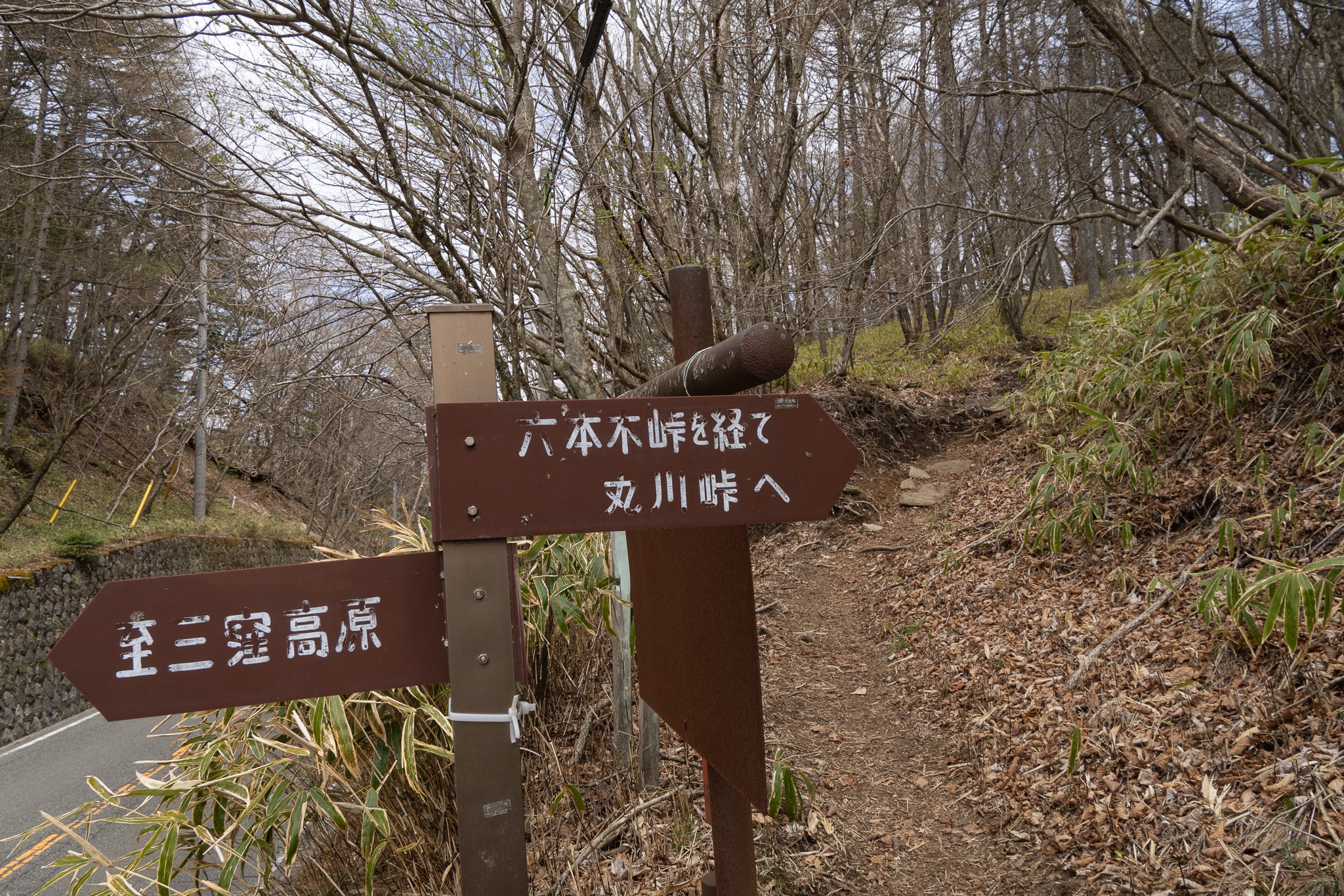 山百チャレンジ14座目 黒川鶏冠山】戦国武田氏の伝説が眠る黒川