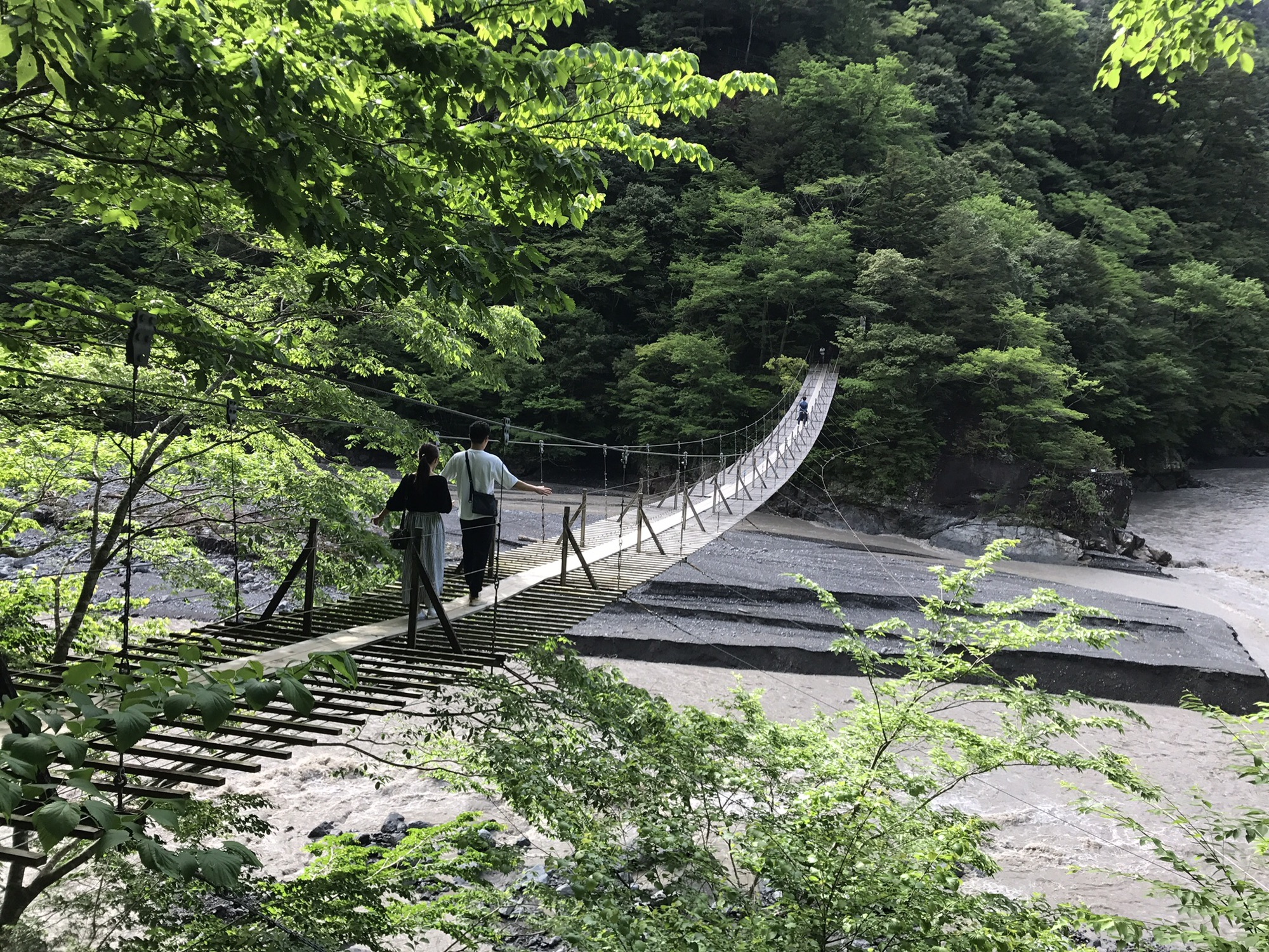 南アルプス深南部縦走】どっぷりと山に浸る静寂の深南部登山