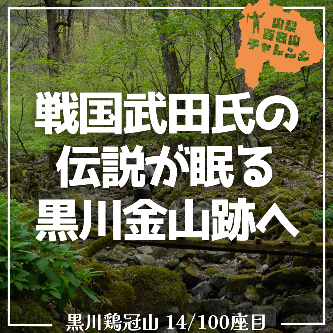 山百チャレンジ14座目 黒川鶏冠山】戦国武田氏の伝説が眠る黒川