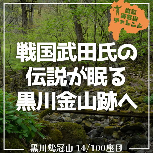 中古】 戦国武田の黒川金山 多摩川源流の黄金境/山梨日日新聞社
