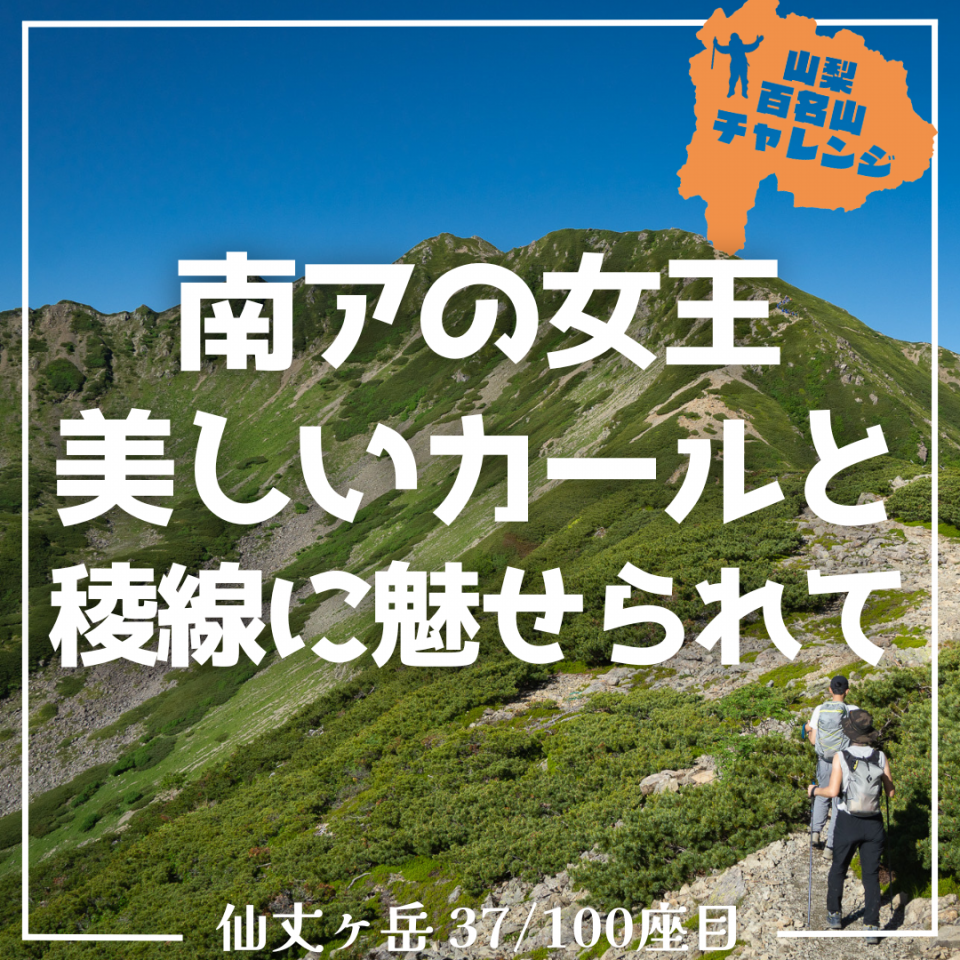 山百チャレンジ37座目 仙丈ヶ岳】南アルプスの女王。美しい
