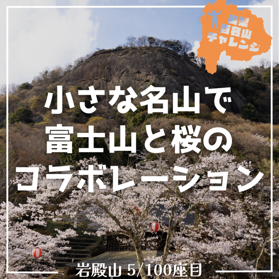 【山百チャレンジ5座目 岩殿山】大月の小さな里山は、桜と富士山の