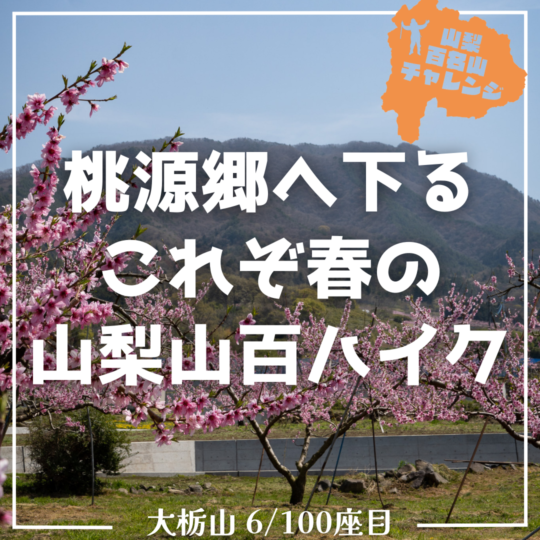 山百チャレンジ6座目 大栃山】これぞ春の山百ハイク！紅色に