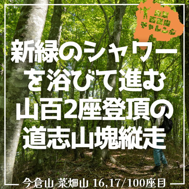 最愛 山百チャレンジ16,17座目 今倉山/菜畑山】新緑のシャワーを浴び 版画
