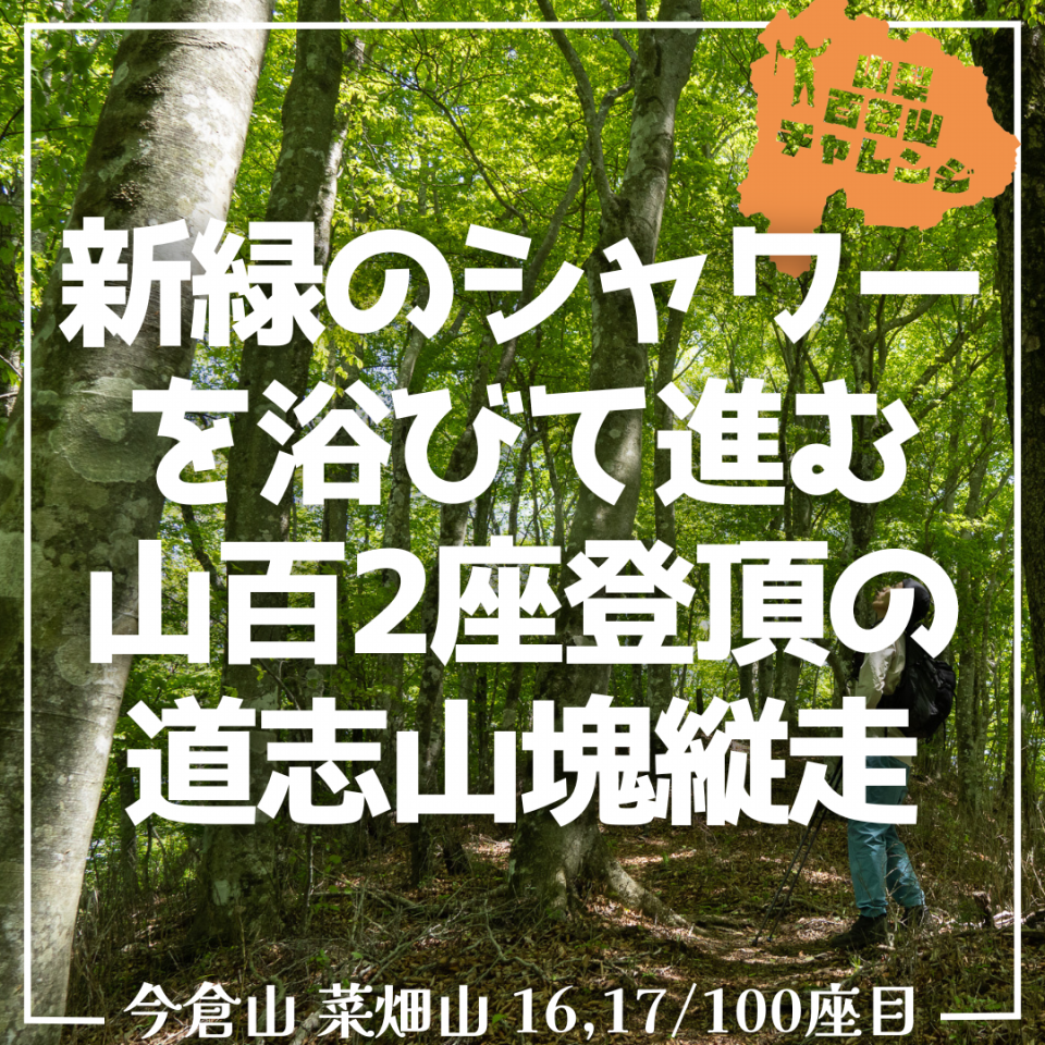 山百チャレンジ16,17座目 今倉山/菜畑山】新緑のシャワーを浴び
