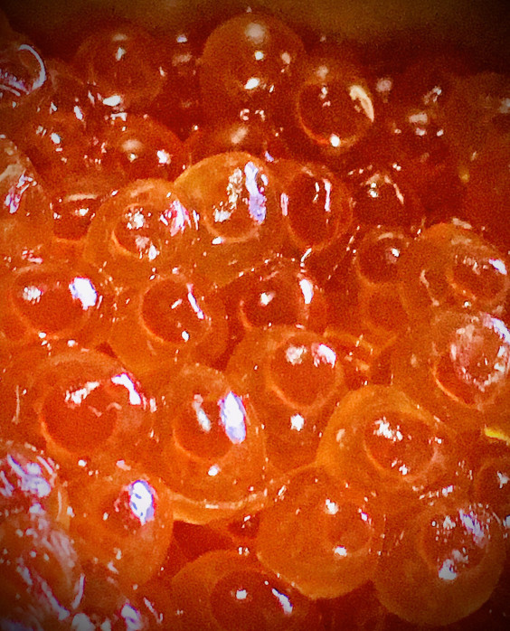 おせちにイクラが ありました グリーンエムアンドジャパン株式会社