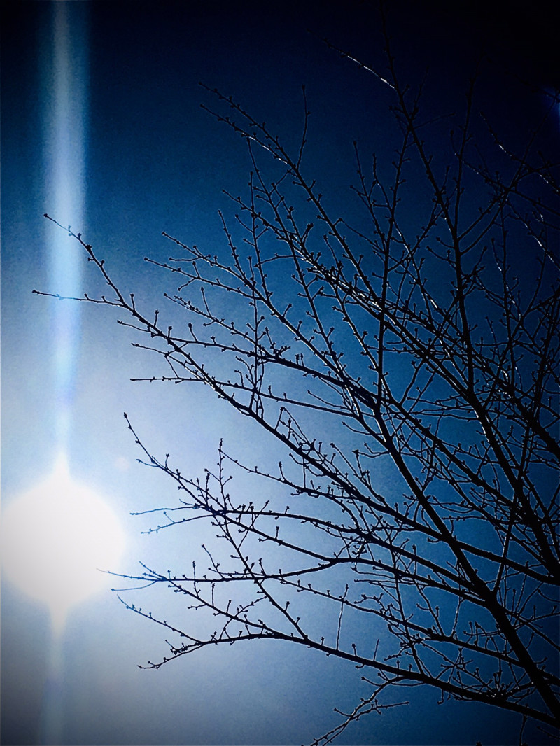 雨水の今日。