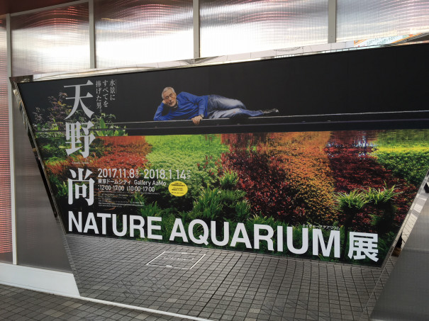 天野尚 Nature Aquarium展 かにの穴