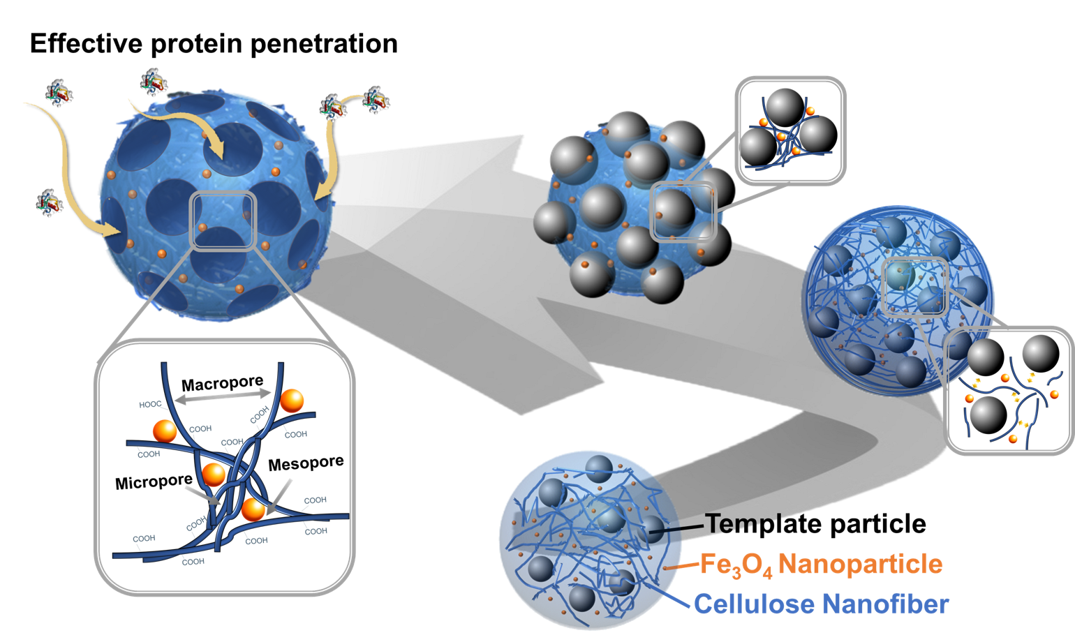 [Paper] ACS Sustainable Chemistry & Engineering Thermal Fluid