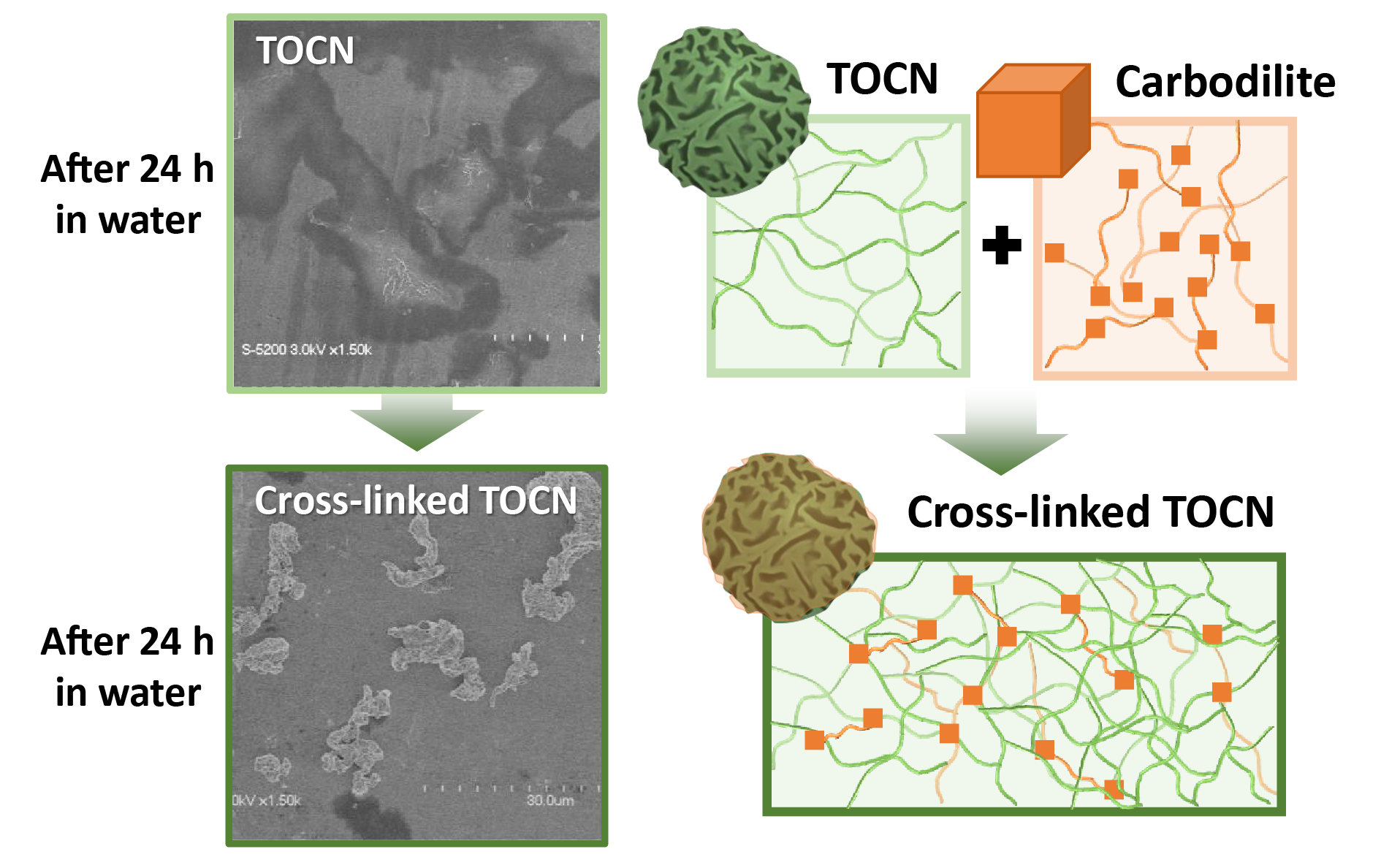 [Paper]Journal Of Colloid And Interface Science | Thermal Fluid Materials Engineering Laboratory