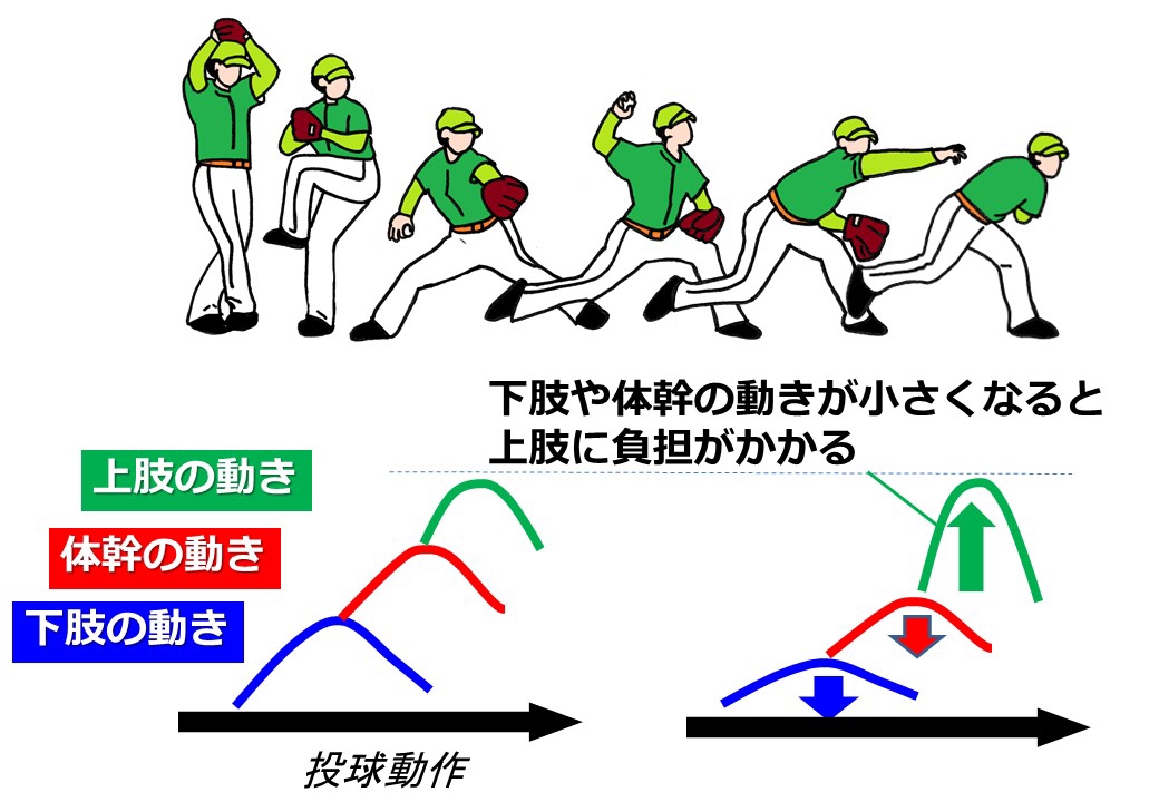 肘・肩の障害予防コンディショニング | 野球肘 スポーツ肘を治す